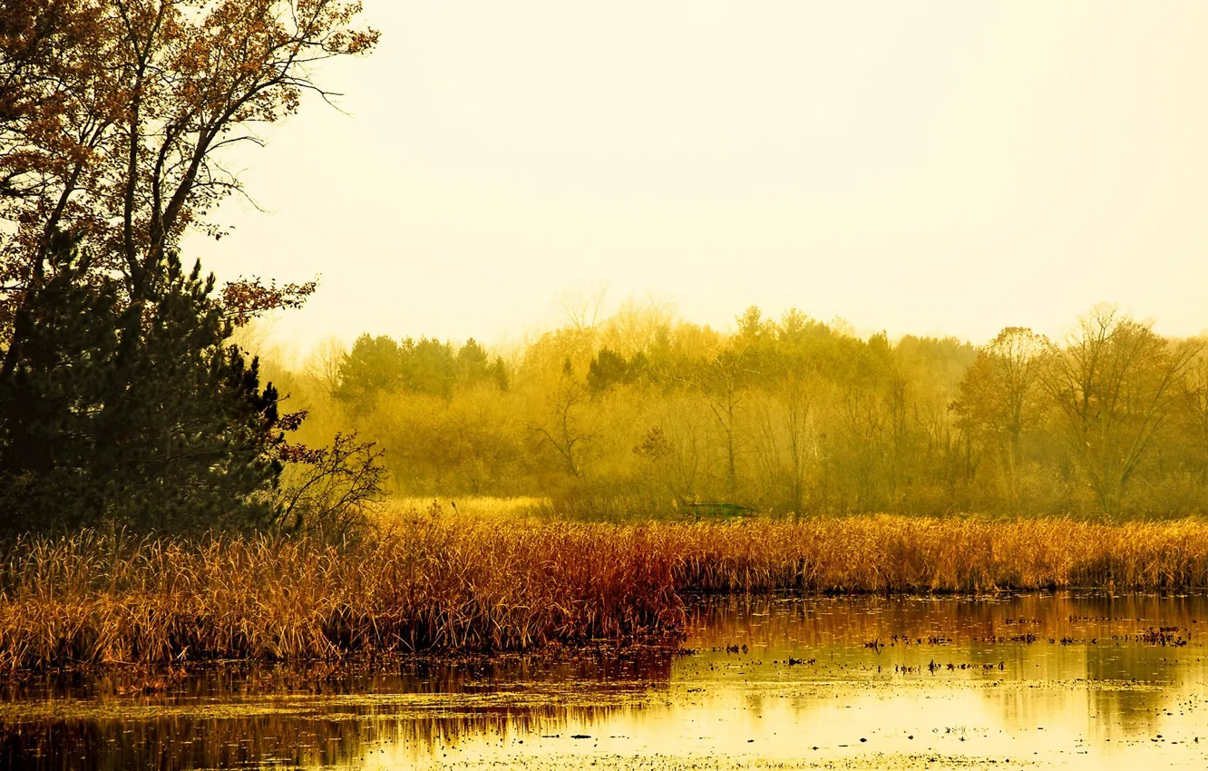Photo wallpaper autumn, the sky, grass, lake, tree