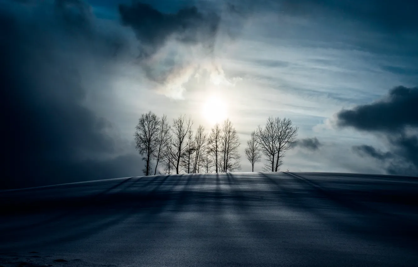 Photo wallpaper snow, night, moonlight