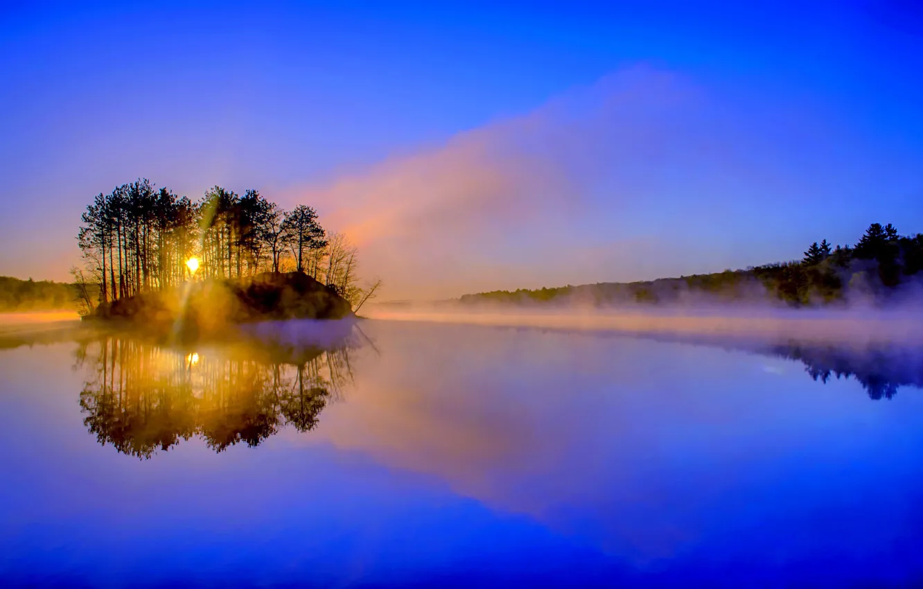 Photo wallpaper light, trees, fog, lake, island, morning