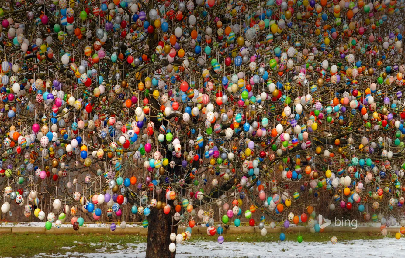 Photo wallpaper tree, eggs, Germany, Easter, Saalfeld