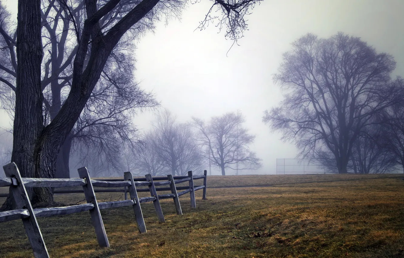 Photo wallpaper field, trees, landscape, the fence