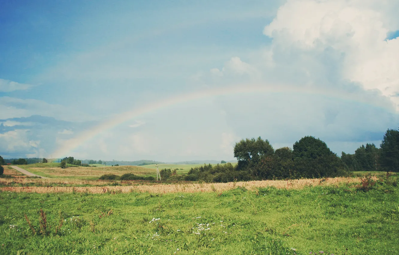 Photo wallpaper the sky, grass, trees, rainbow