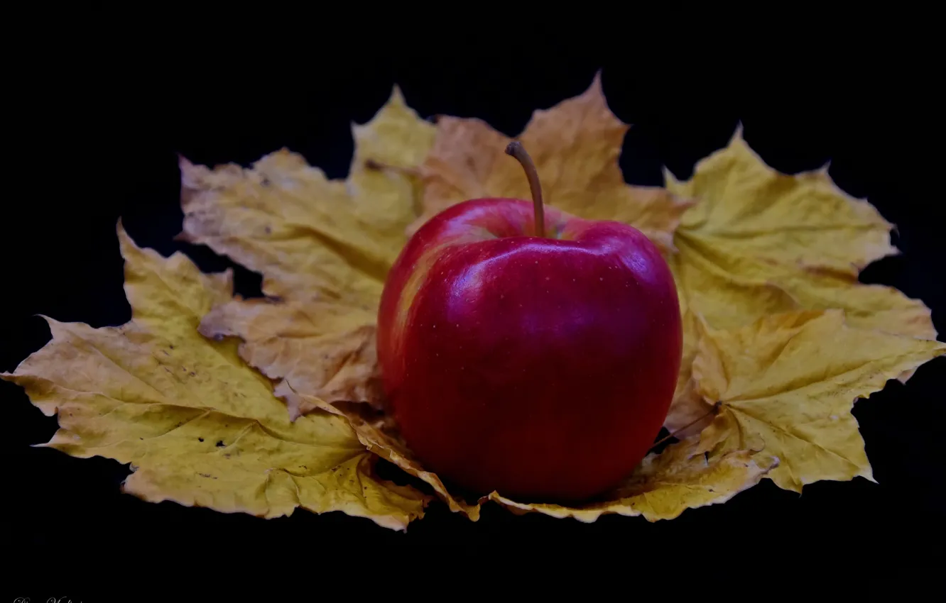 Photo wallpaper autumn, apples, still life