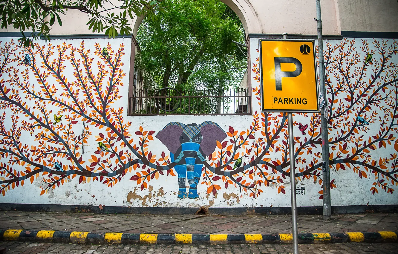 Photo wallpaper elephant, India, Delhi, Parking full