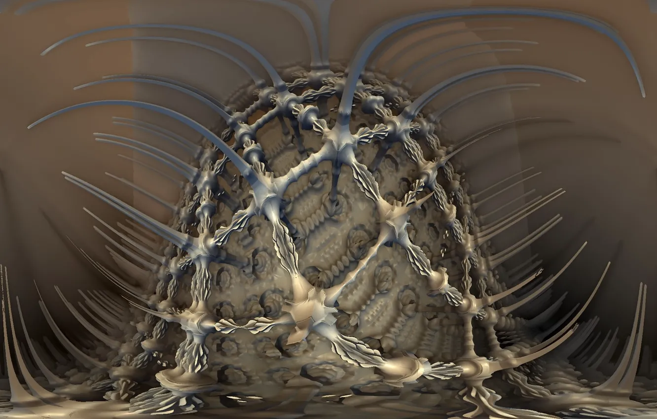 Photo wallpaper background, color, form