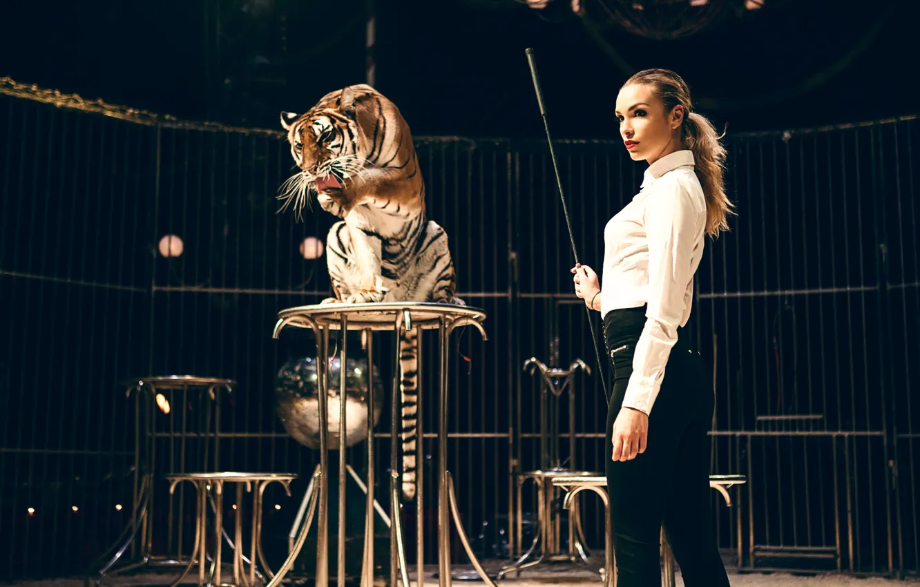 Photo wallpaper girl, tiger, the taming of the, Christy