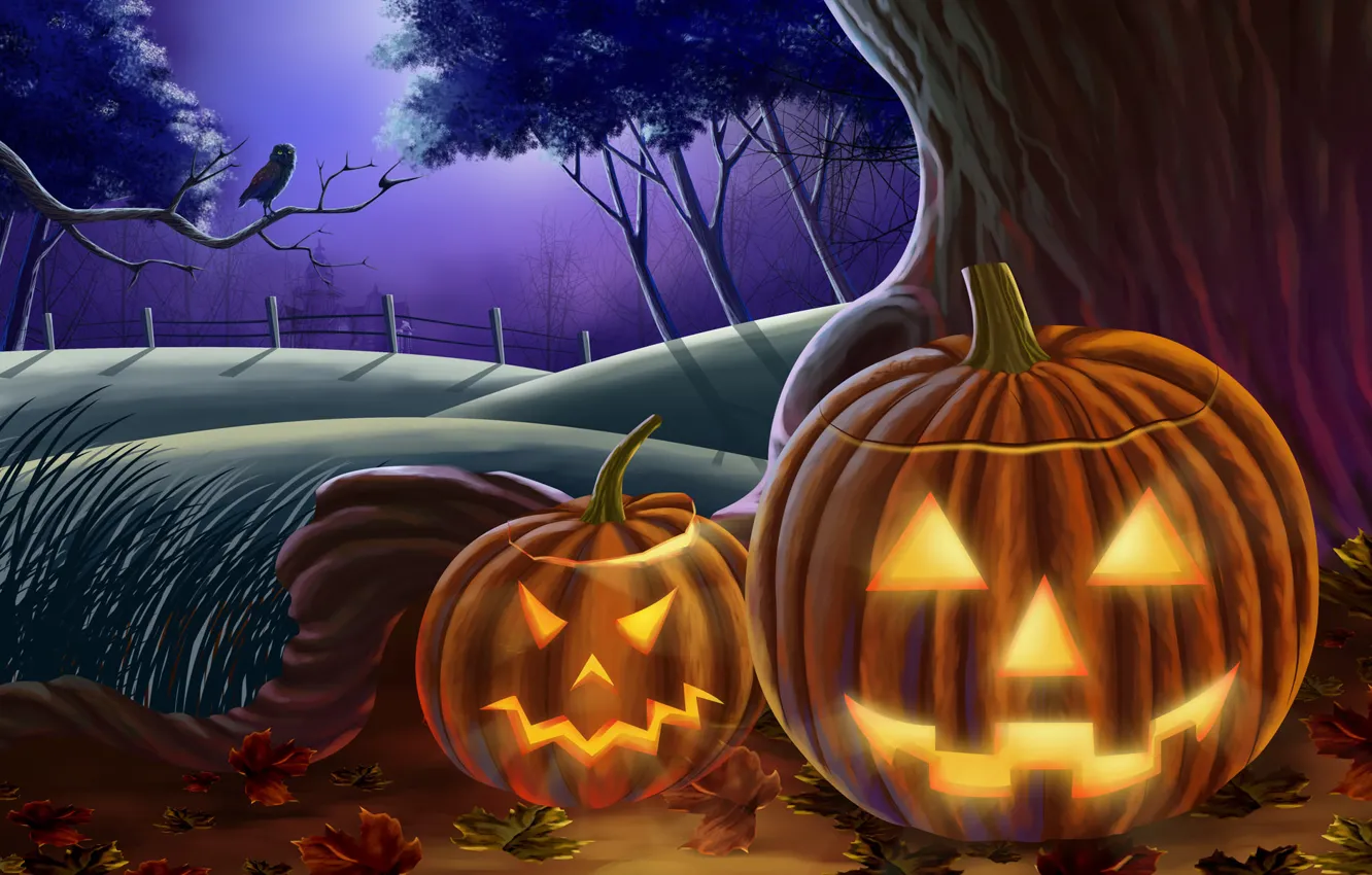 Photo wallpaper owl, pumpkin, Halloween, halloween