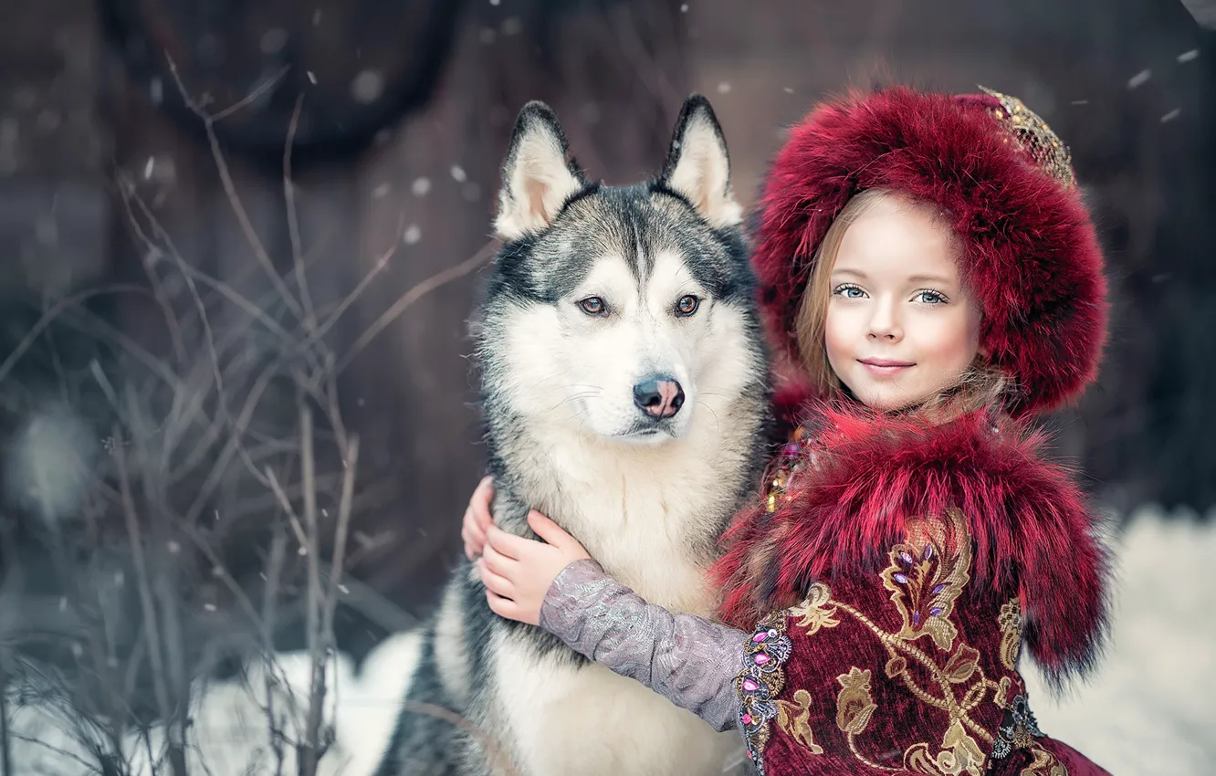 Photo wallpaper dog, friendship, girl, friends, husky, Yaroslav Gromov, Princess