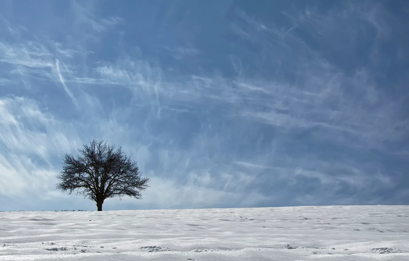Photo wallpaper the sky, snow, tree, Asia, ethno-geographical region, Kurdistan