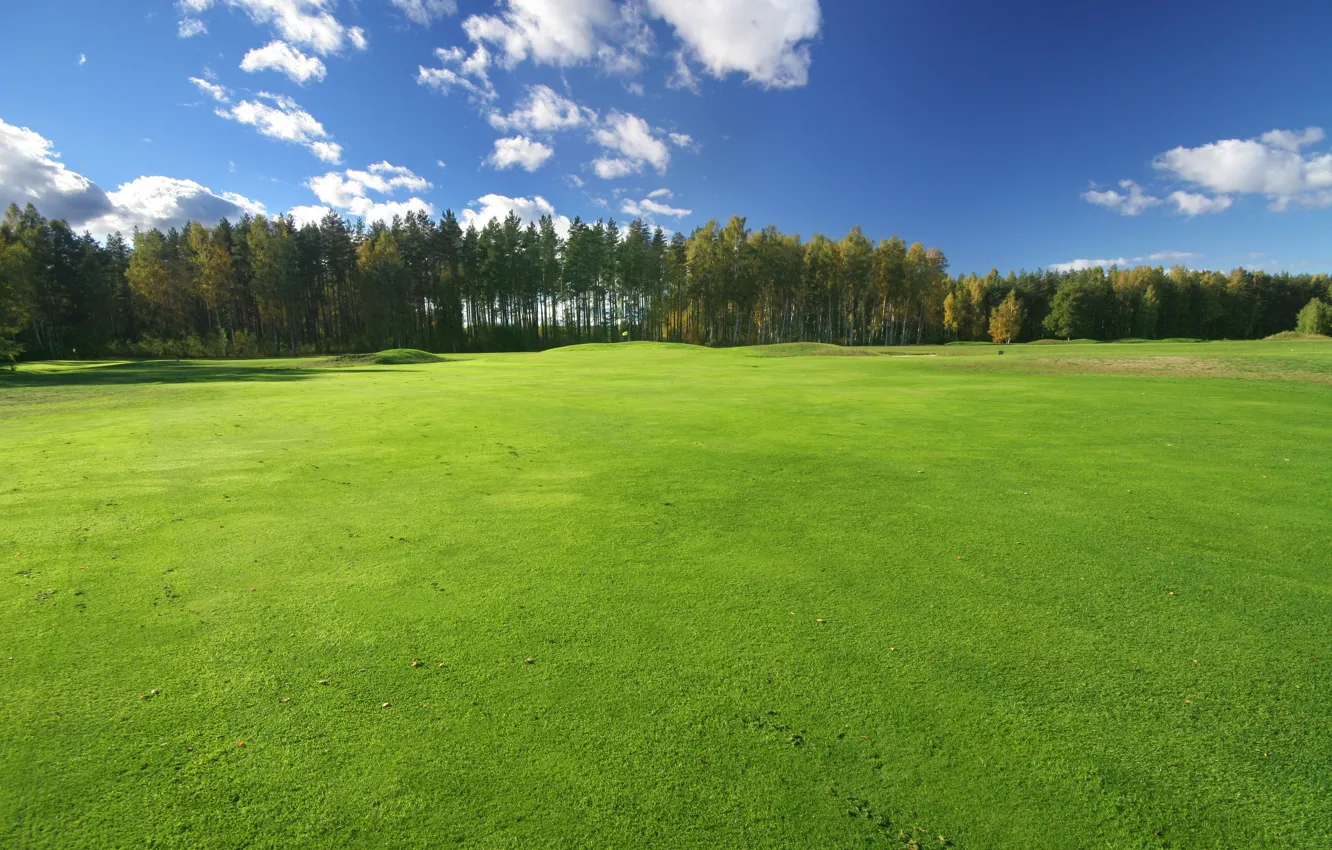 Photo wallpaper field, clouds, trees, nature