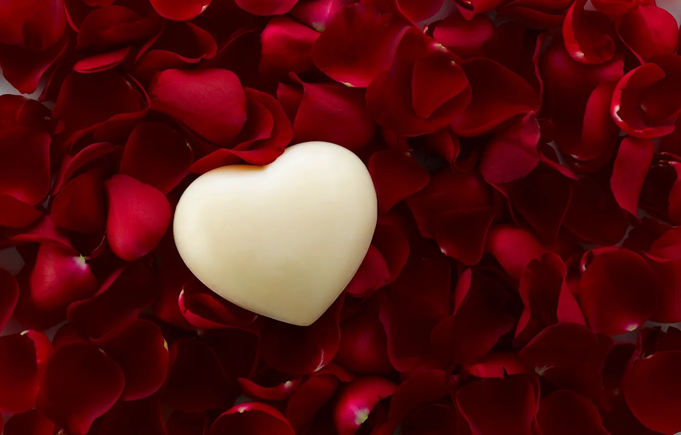 Photo wallpaper love, heart, roses, petals, love, heart, romantic, Valentine's Day