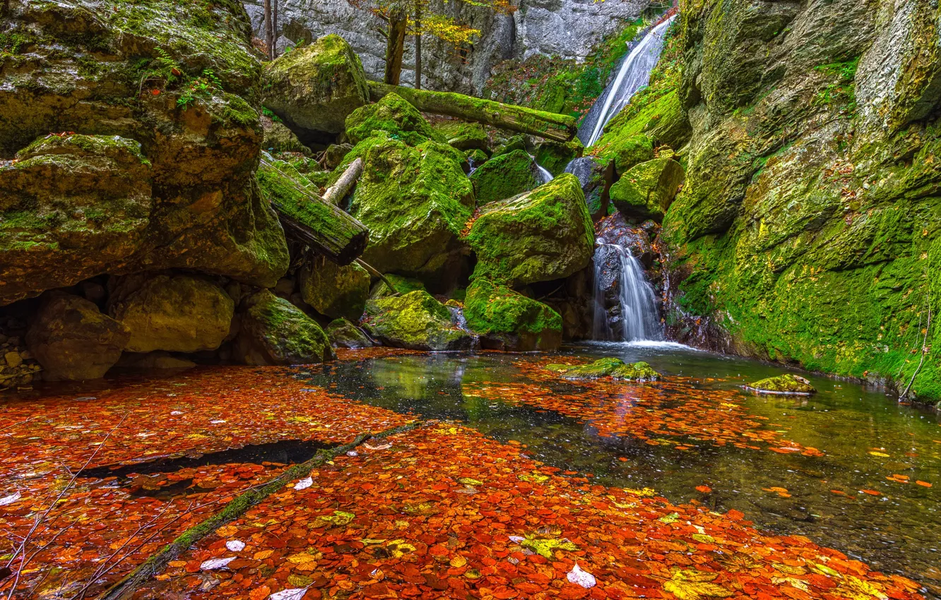 Photo wallpaper autumn, leaves, stones, waterfall, moss, green, red, orange