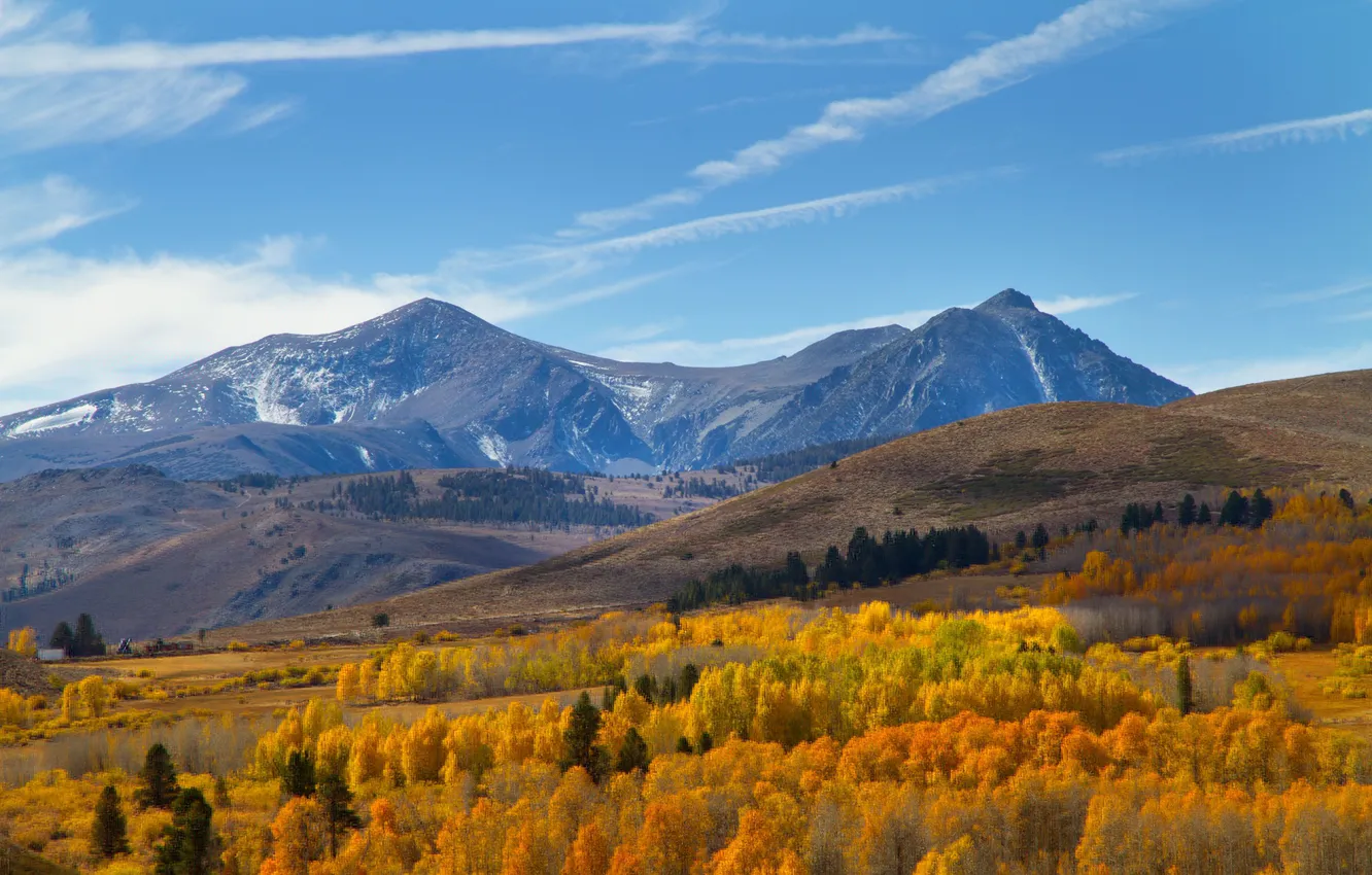 Photo wallpaper the sky, clouds, trees, mountains, home, valley, farm