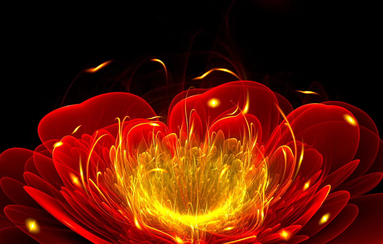 Photo wallpaper flower, light, line, flame, petals, twilight