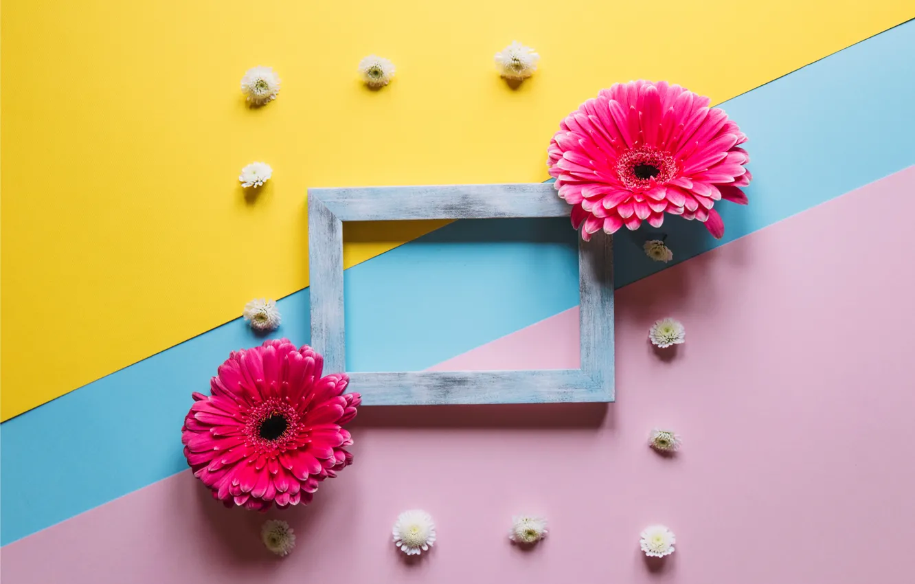 Photo wallpaper flowers, frame, colorful, gerbera, wood, pink, flowers, spring