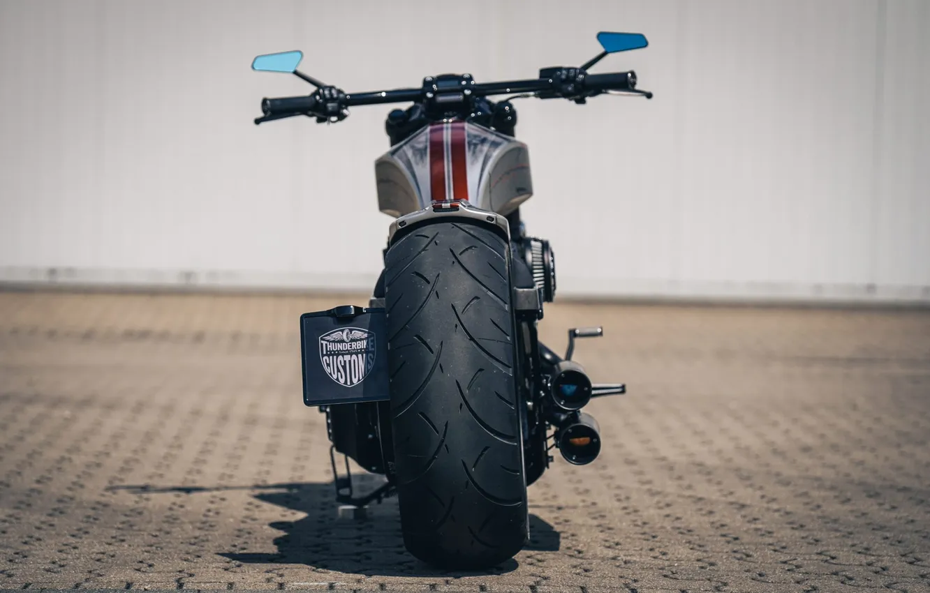 Photo wallpaper motorcycle, Harley Davidson, bike, Thunderbike customs