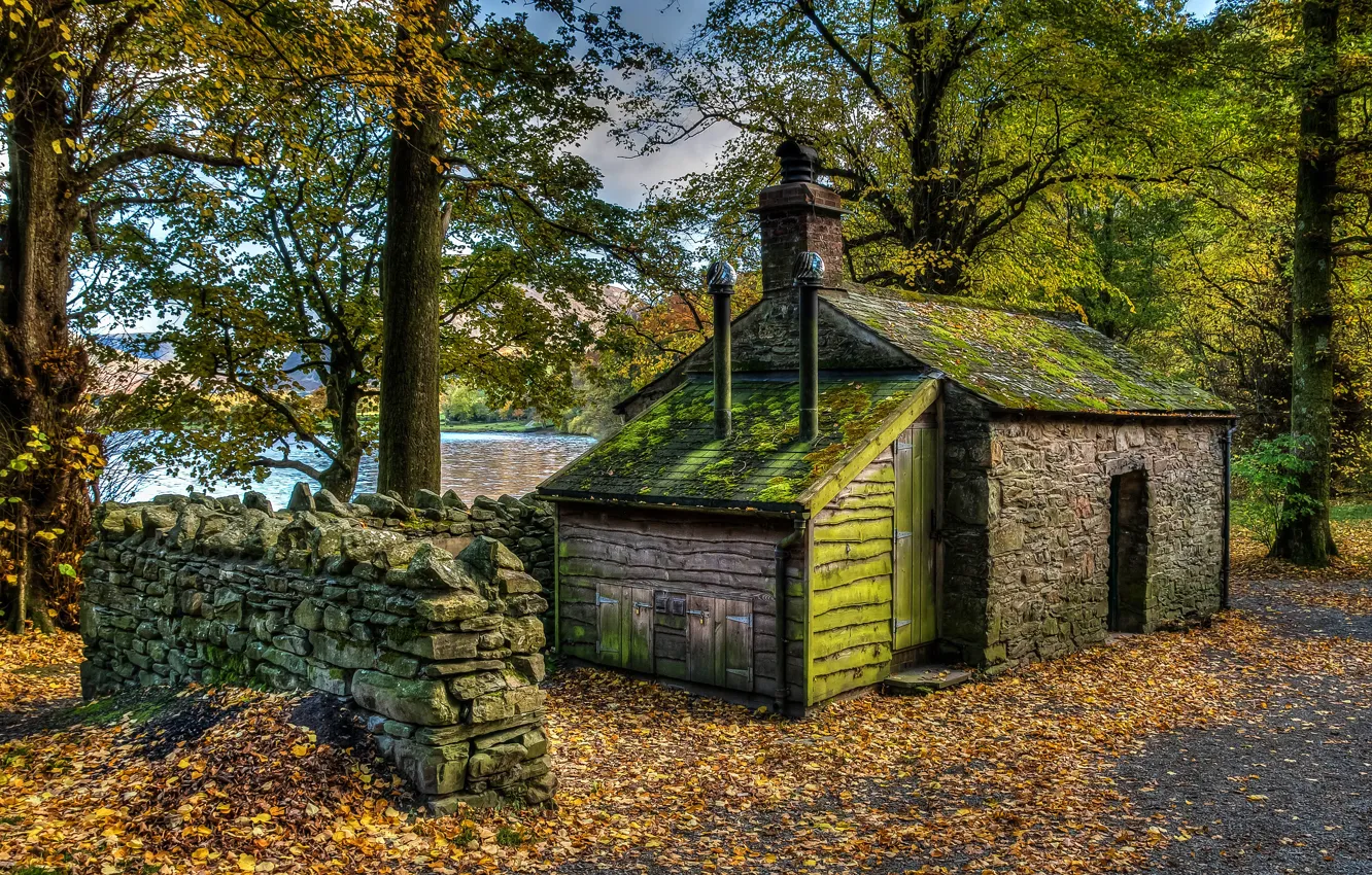 Photo wallpaper autumn, forest, leaves, branches, pond, Park, shore, foliage