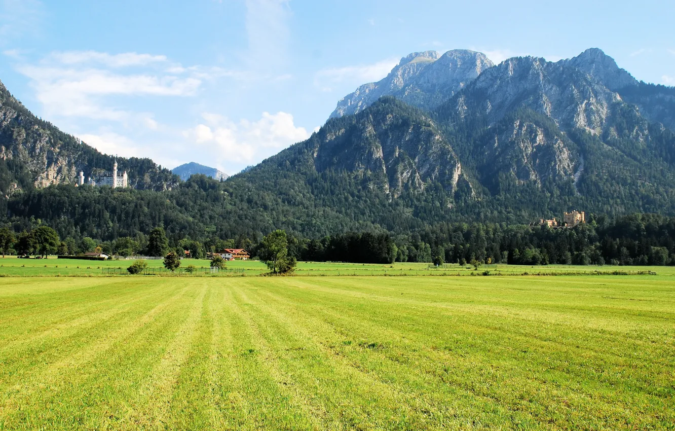 Photo wallpaper field, landscape, mountains, nature, castle, Germany, Schwangau