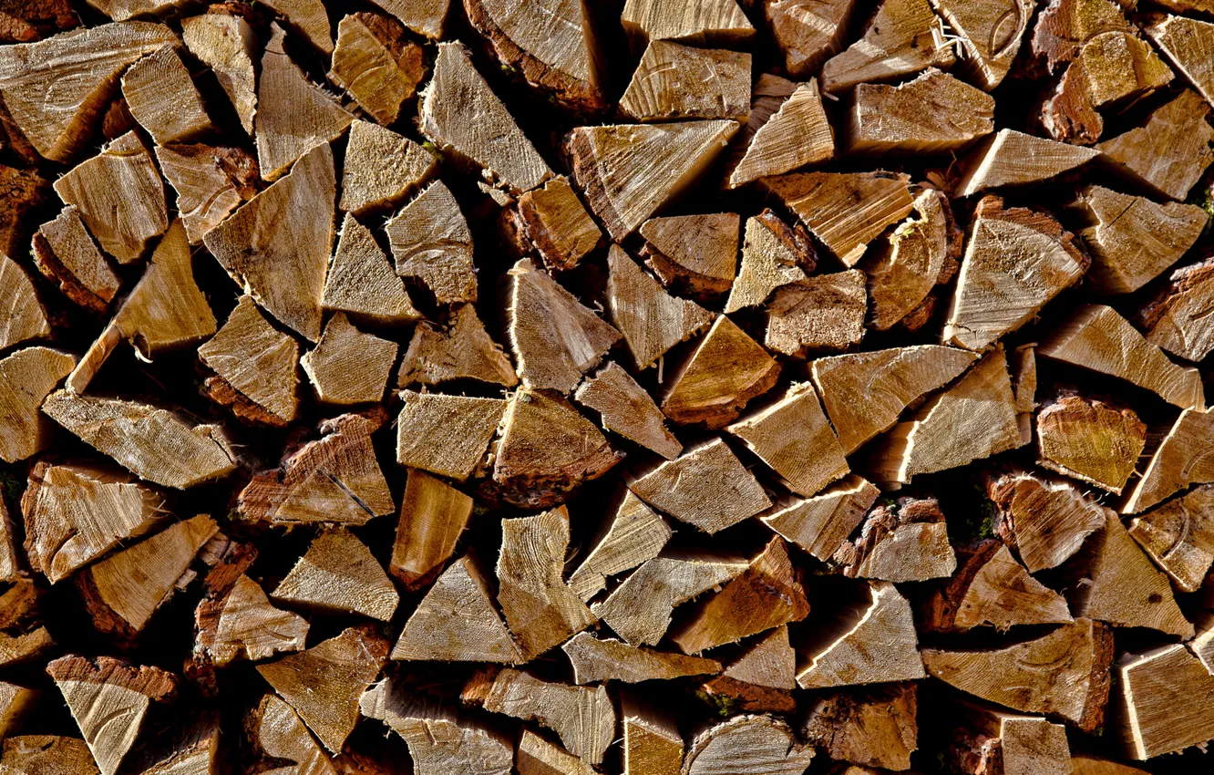 Photo wallpaper texture, wood, logs