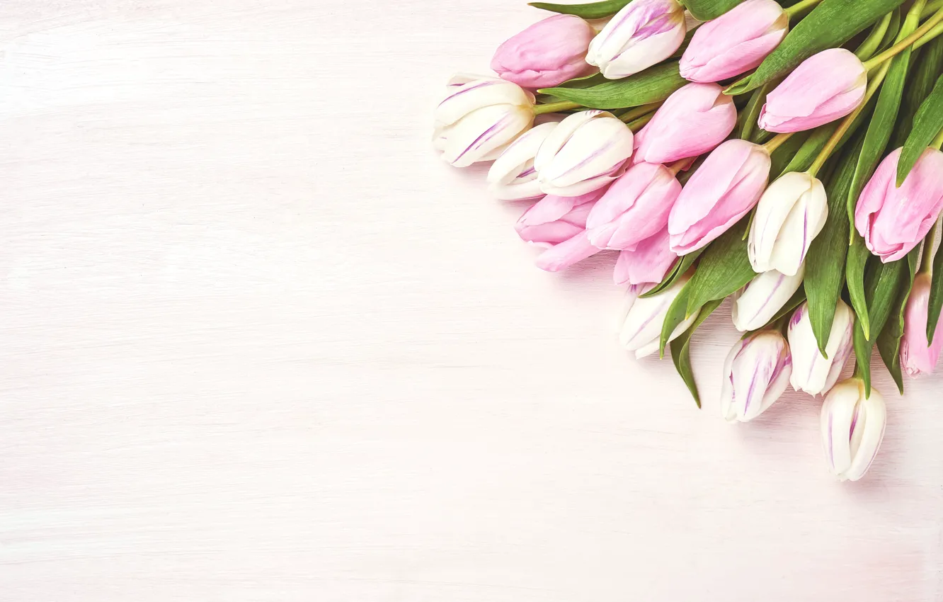 Photo wallpaper flowers, background, pink, bouquet, tulips, pink