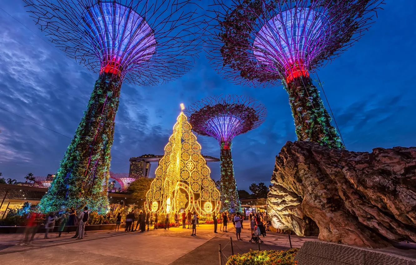 Photo wallpaper design, lights, Park, people, the evening, Singapore, Gardens By the Bay
