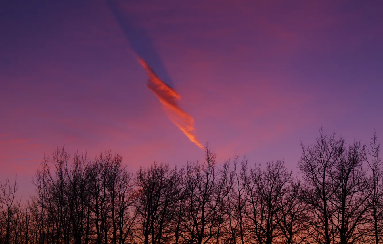 Photo wallpaper sky, trees, nature, beautiful, clouds, Mother Nature