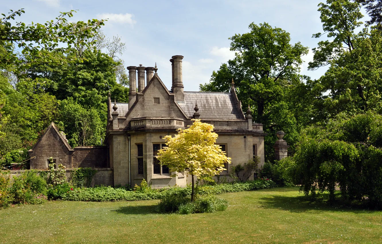 Photo wallpaper grass, trees, home, garden, UK, lawn, North Rauceby, Lincolnshire