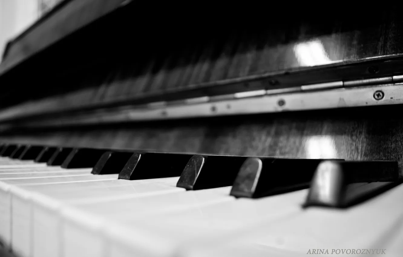 Photo wallpaper macro, keys, black and white, piano, piano