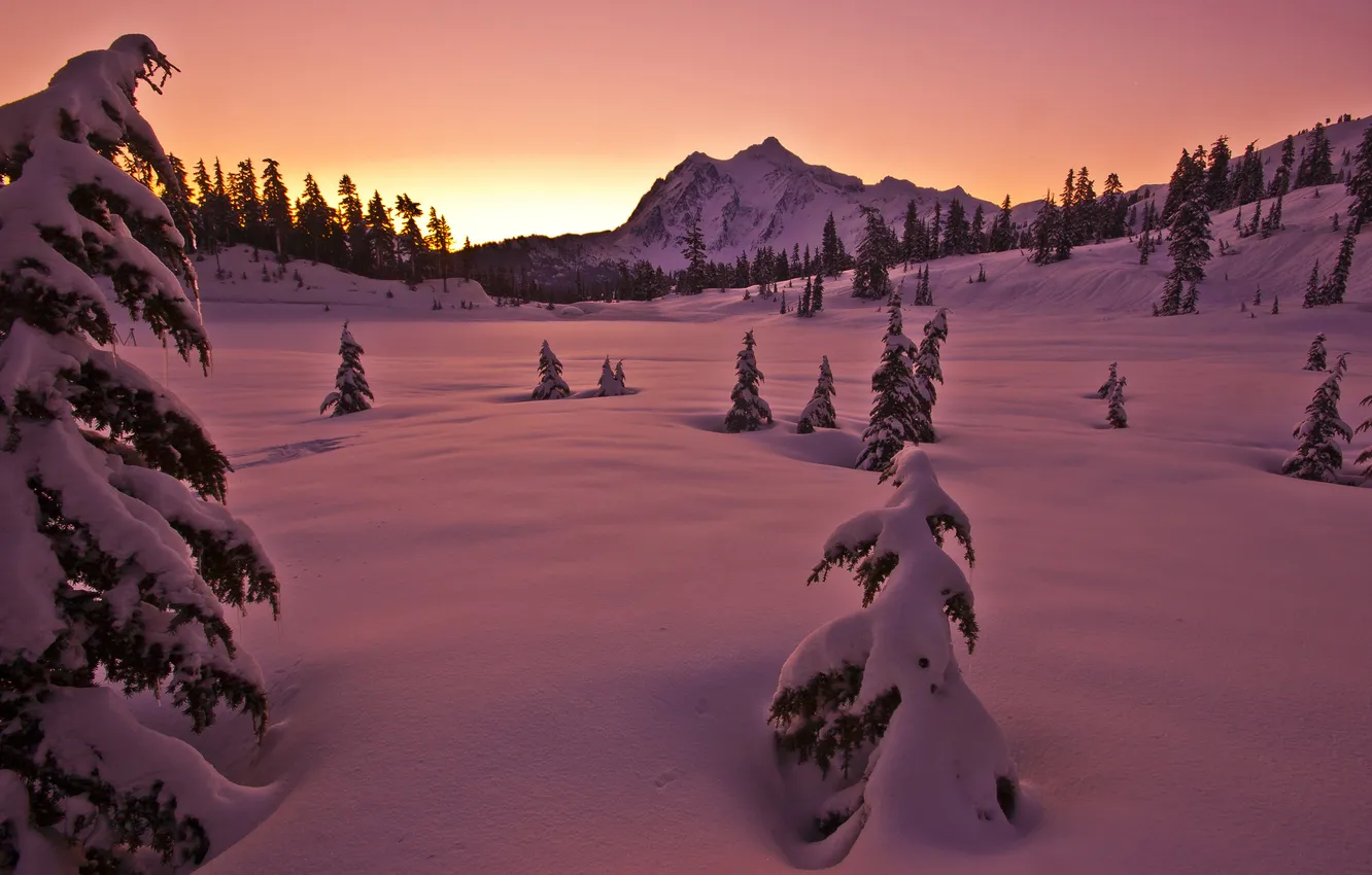 Photo wallpaper winter, snow, mountains, nature, the evening