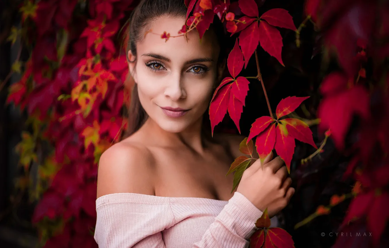 Photo wallpaper girl, long hair, brown eyes, photo, photographer, autumn, leaves, ponytail