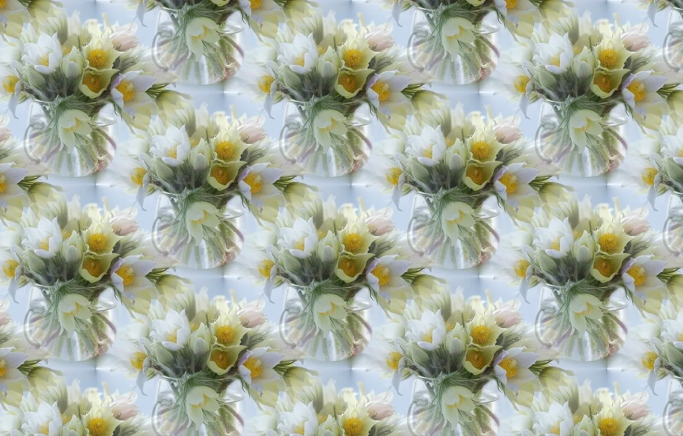 Photo wallpaper flowers, background, texture, spring, primrose