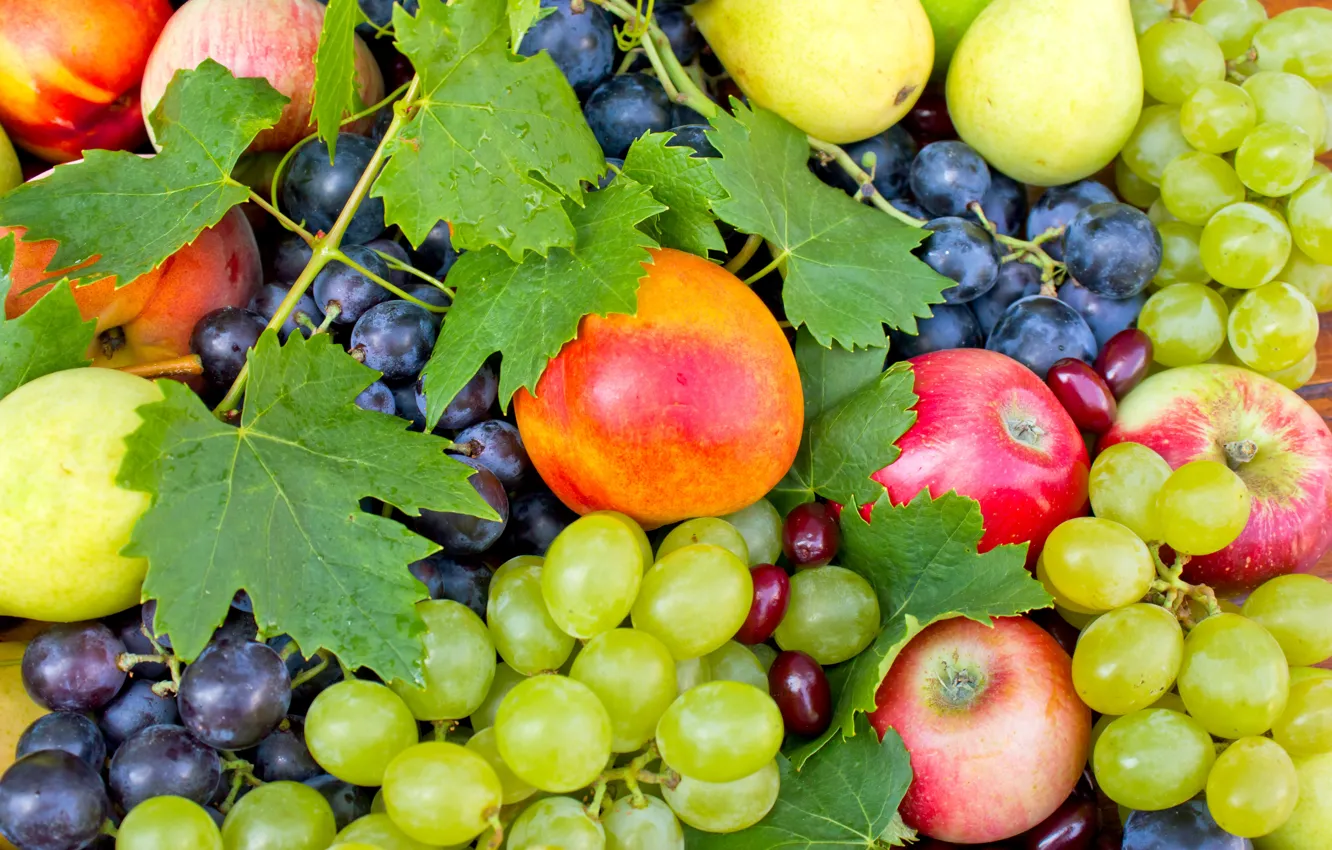 Photo wallpaper leaves, berries, apples, grapes, fruit, pear