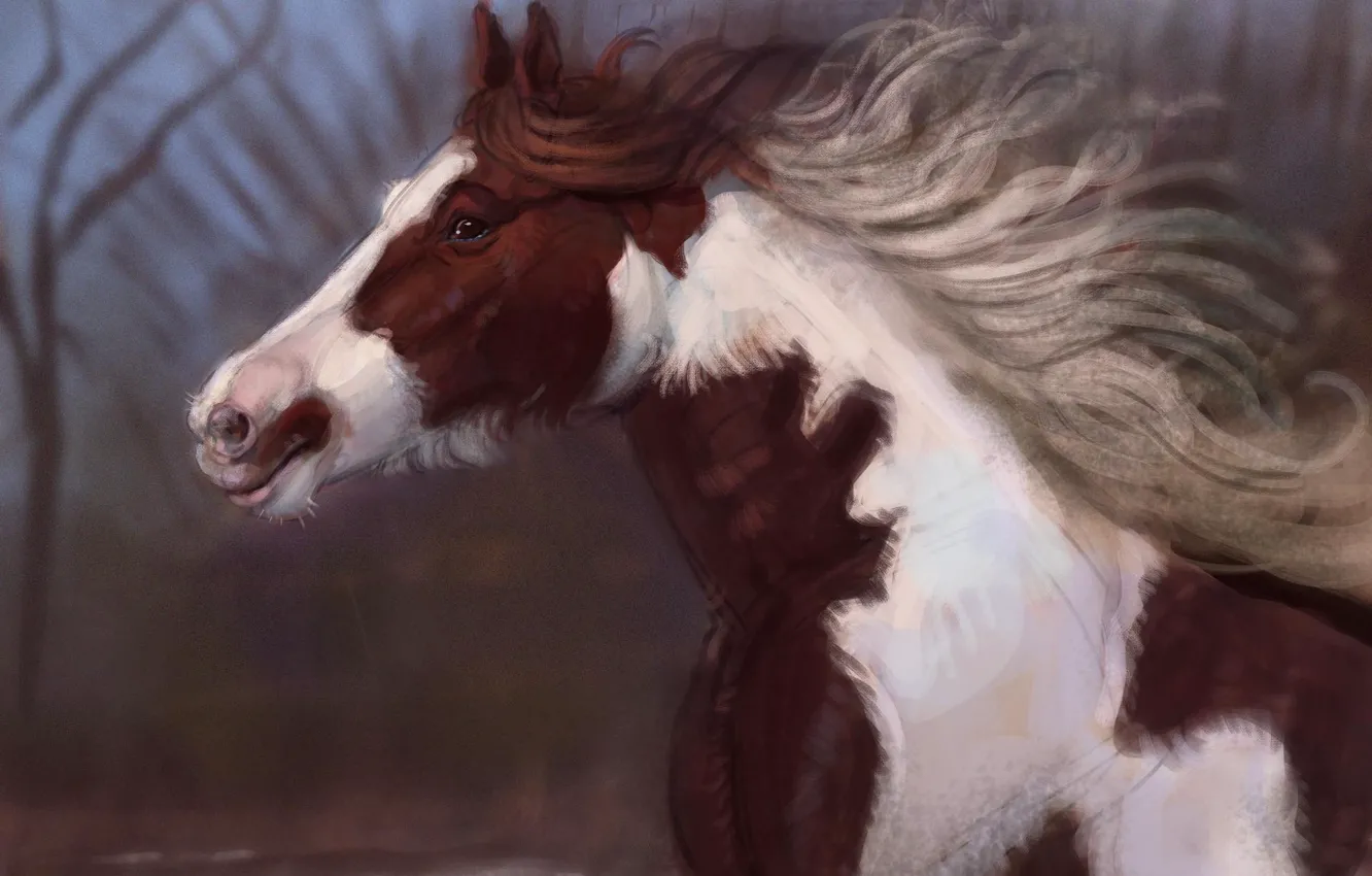 Photo wallpaper nature, horse, runs