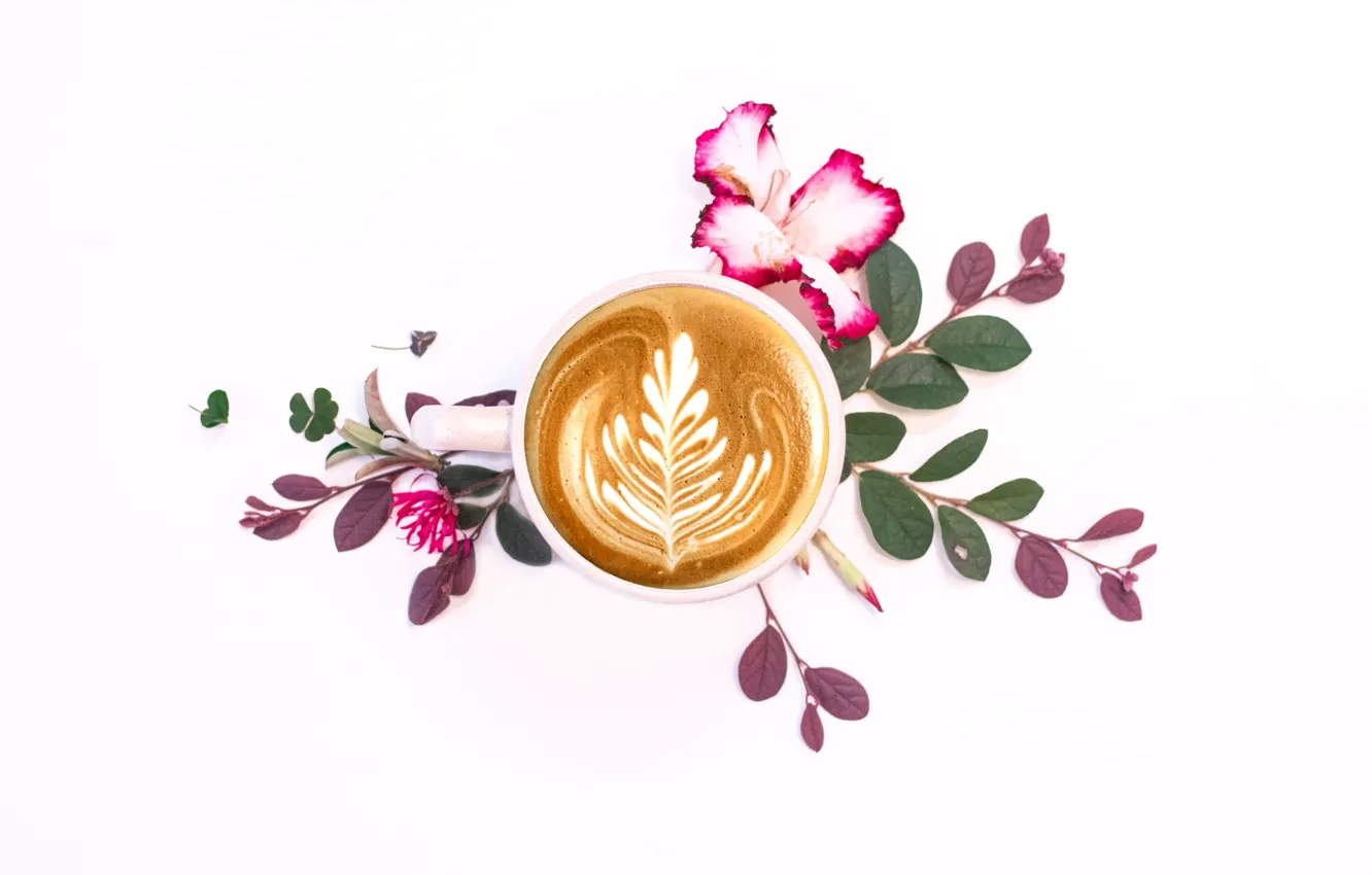 Photo wallpaper flowers, plant, coffee, white background, drink