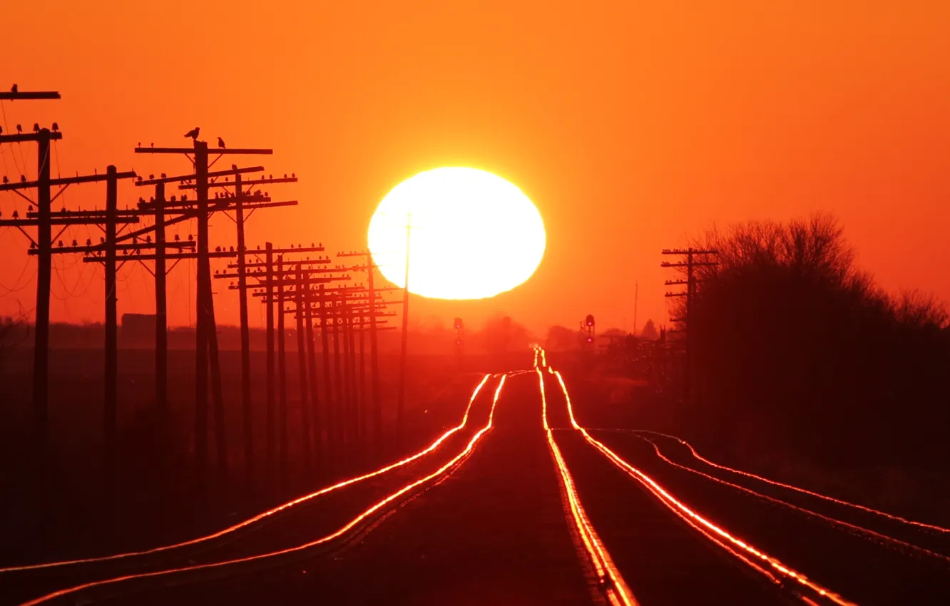 Photo wallpaper Sunset, The sun, The sky, Trees, Posts, Railroad, Rails