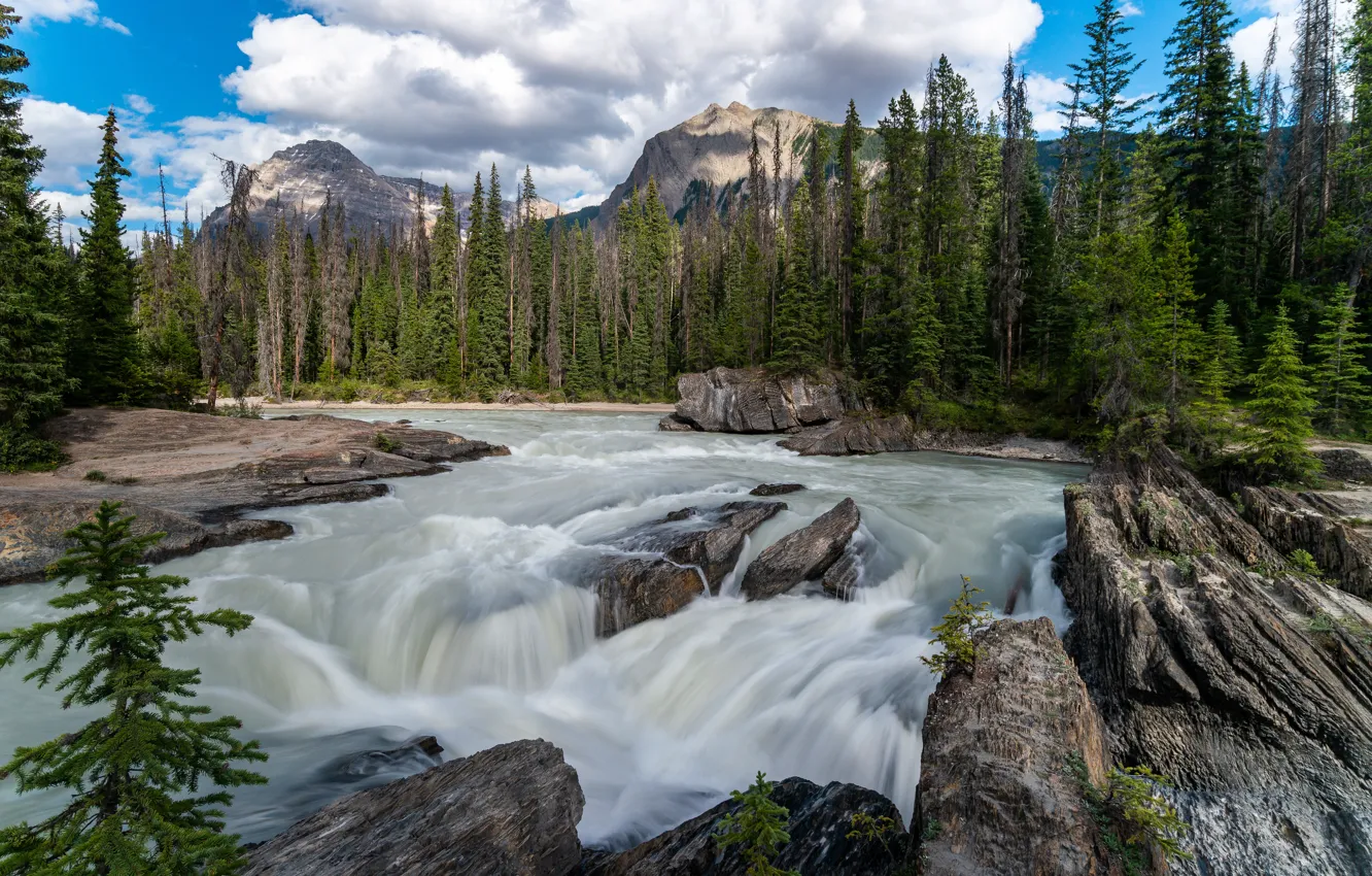 Photo wallpaper forest, mountains, river, rocks, shore, for, waterfall, stream