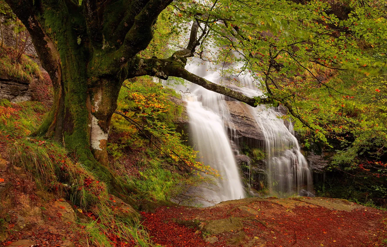 Photo wallpaper autumn, nature, waterfall