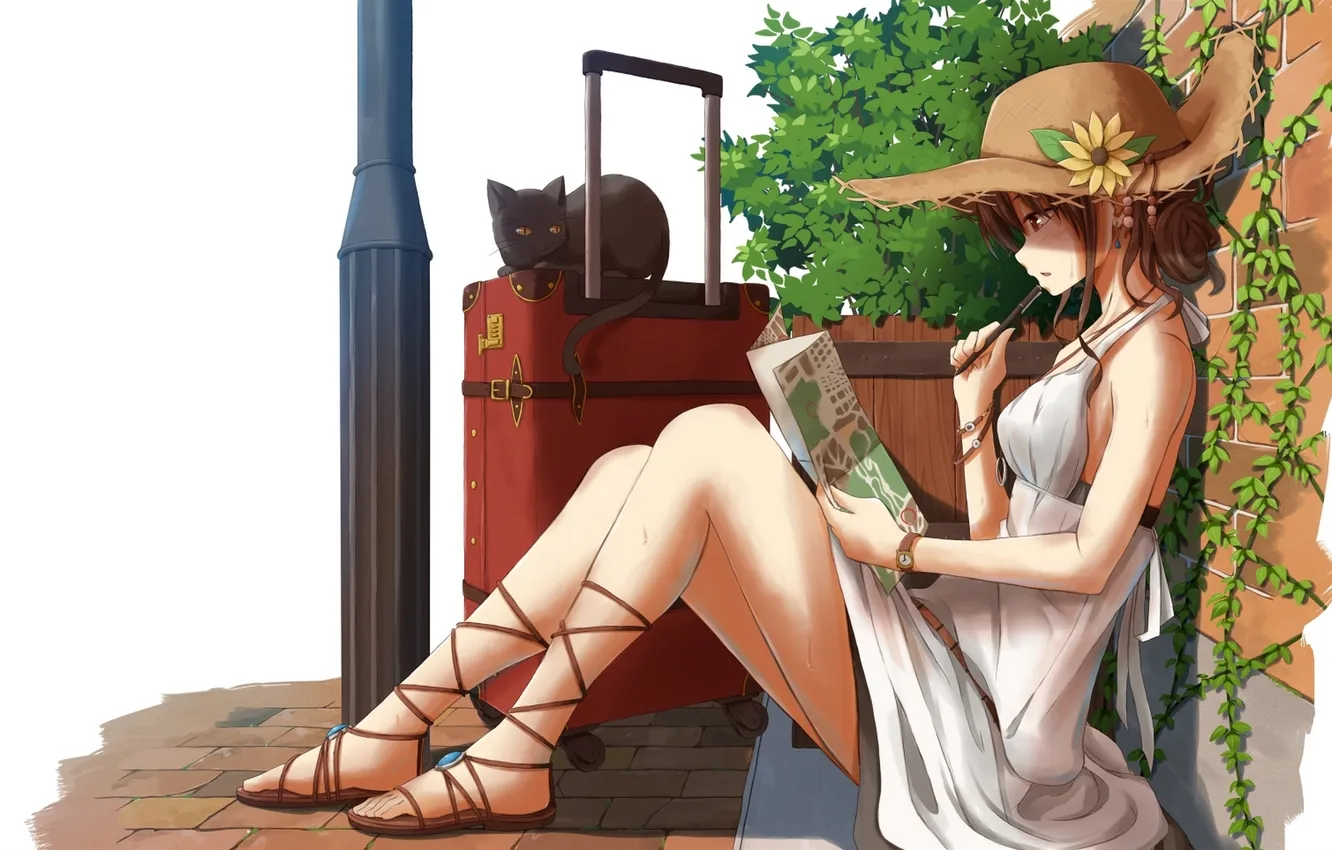 Photo wallpaper cat, girl, drops, heat, map, hat, anime, art