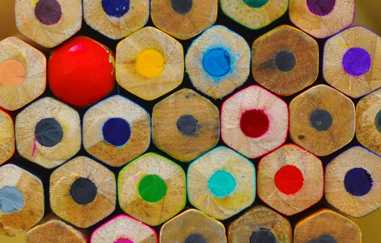 Photo wallpaper macro, color, pencils, drawing, stylus