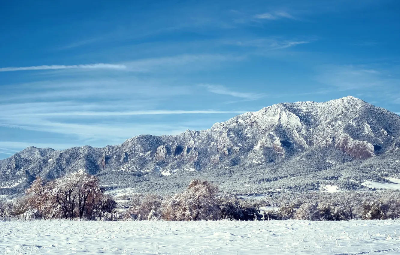 Photo wallpaper snow, trees, mountains, Colorado