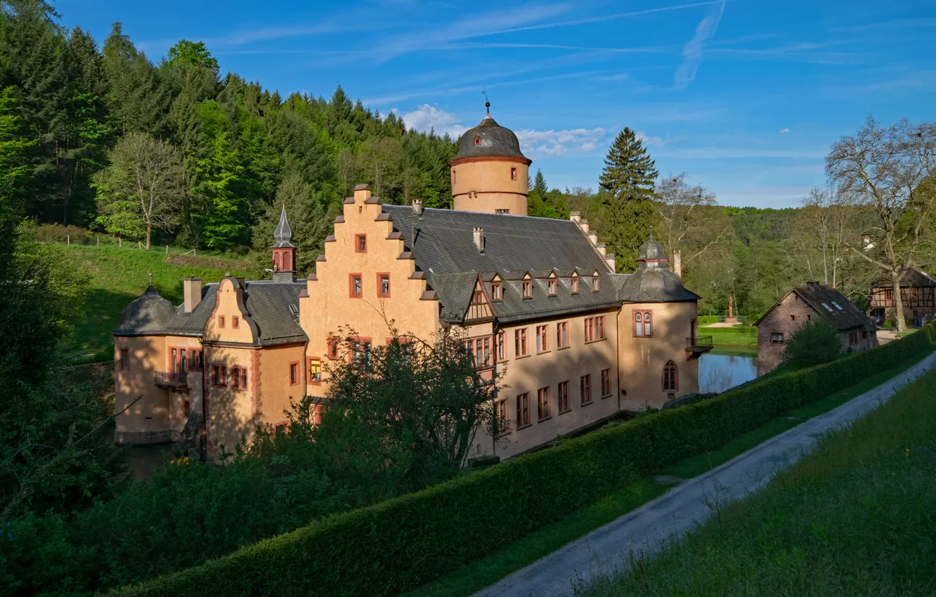 Photo wallpaper forest, the sky, clouds, trees, landscape, nature, home, Germany