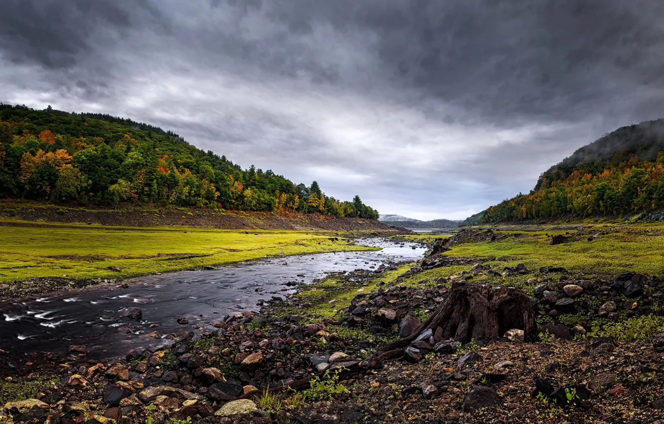 Photo wallpaper forest, the sky, clouds, clouds, stream, stones, overcast, shore