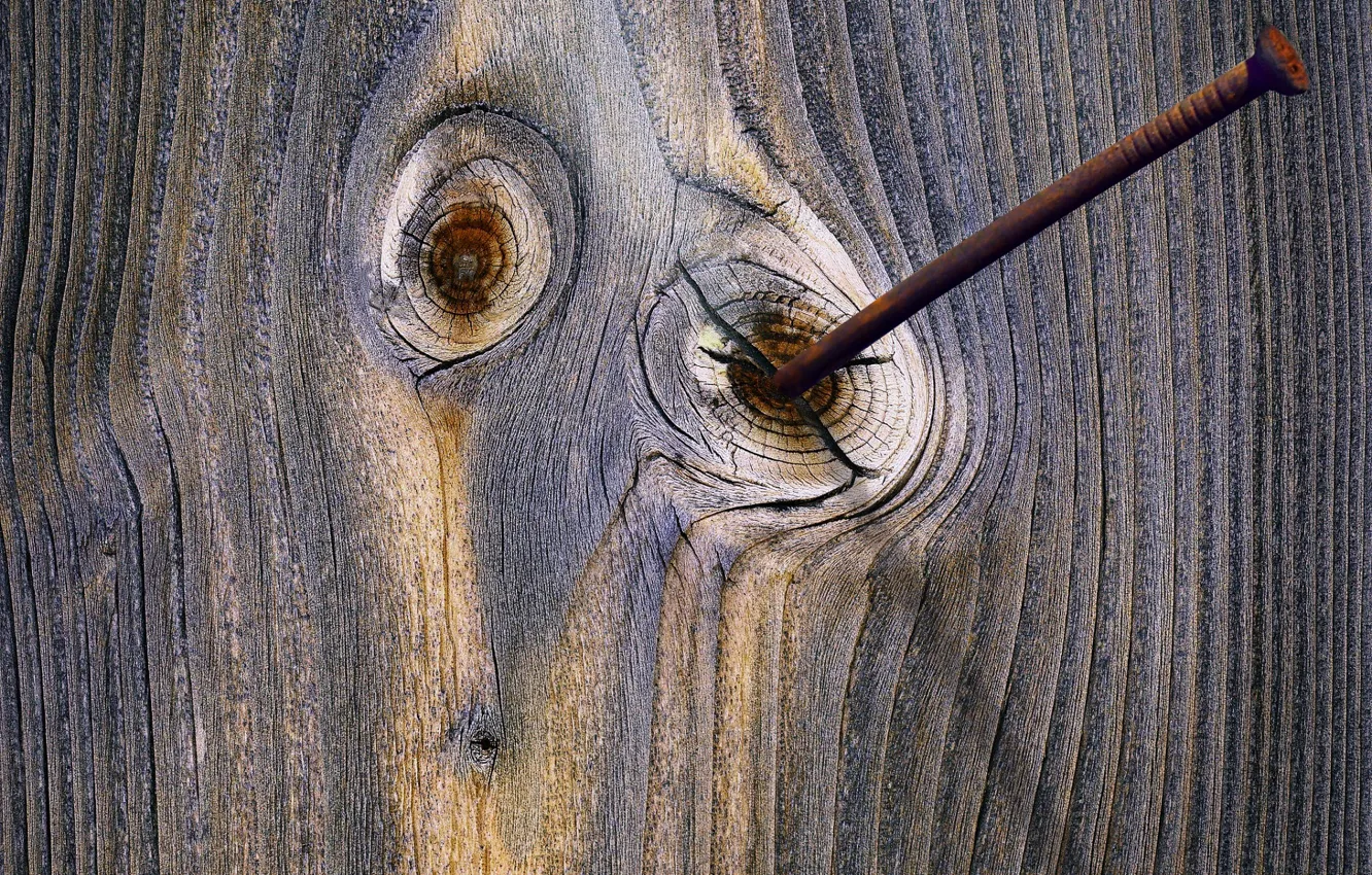 Photo wallpaper tree, a remake, nail, antanasc