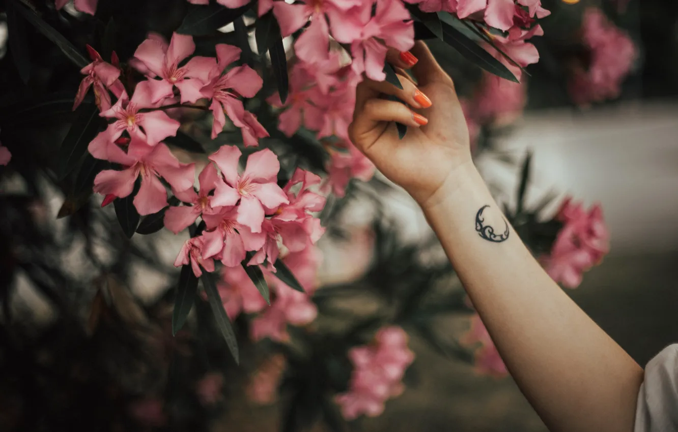 Photo wallpaper flowers, a month, hands, petals, tattoo, tattoo