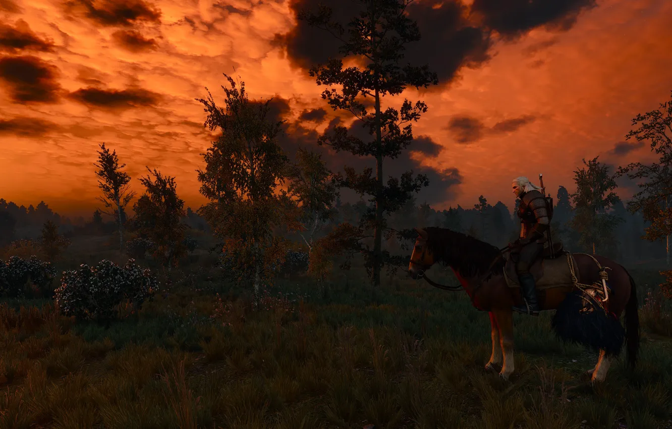 Photo wallpaper horse, the game, rider, hunting, the Witcher, wild, Losha