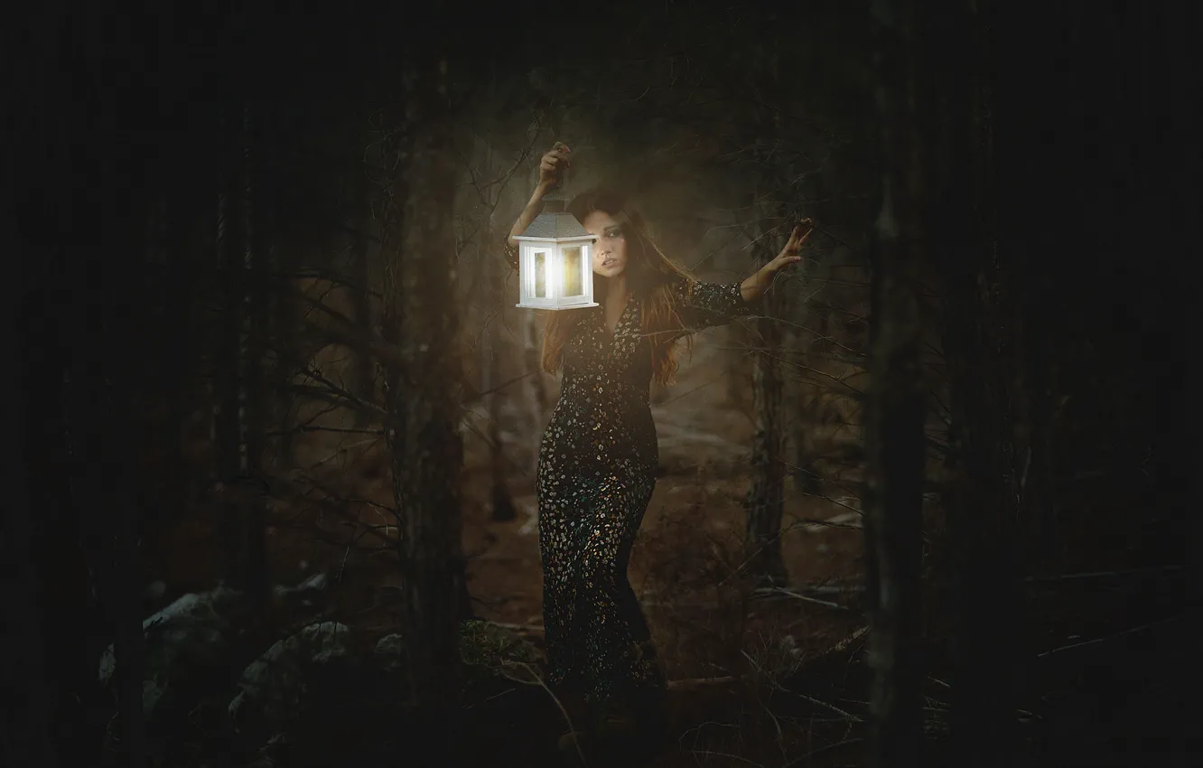 Photo wallpaper forest, girl, light, darkness, lantern