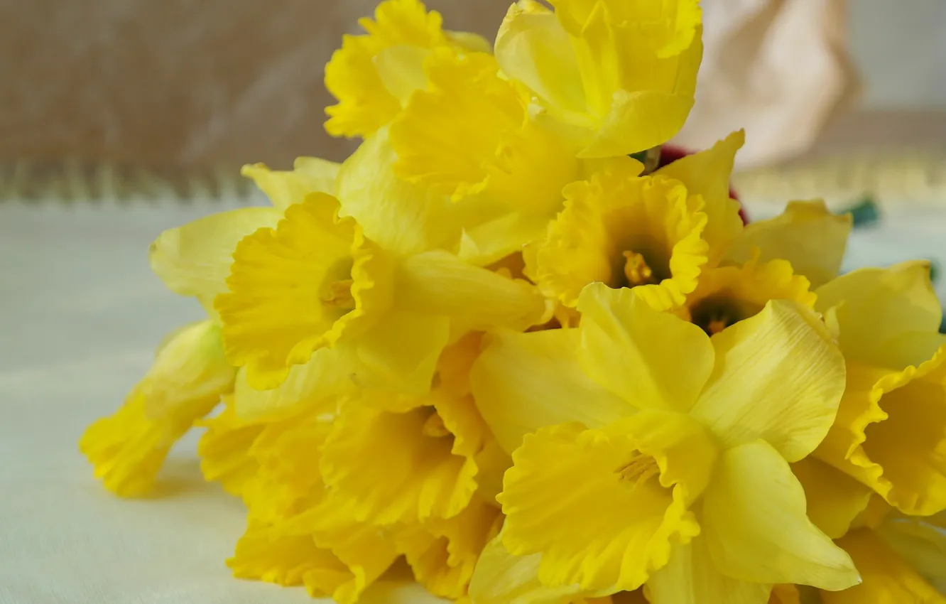 Photo wallpaper flowers, bouquet, spring, daffodils