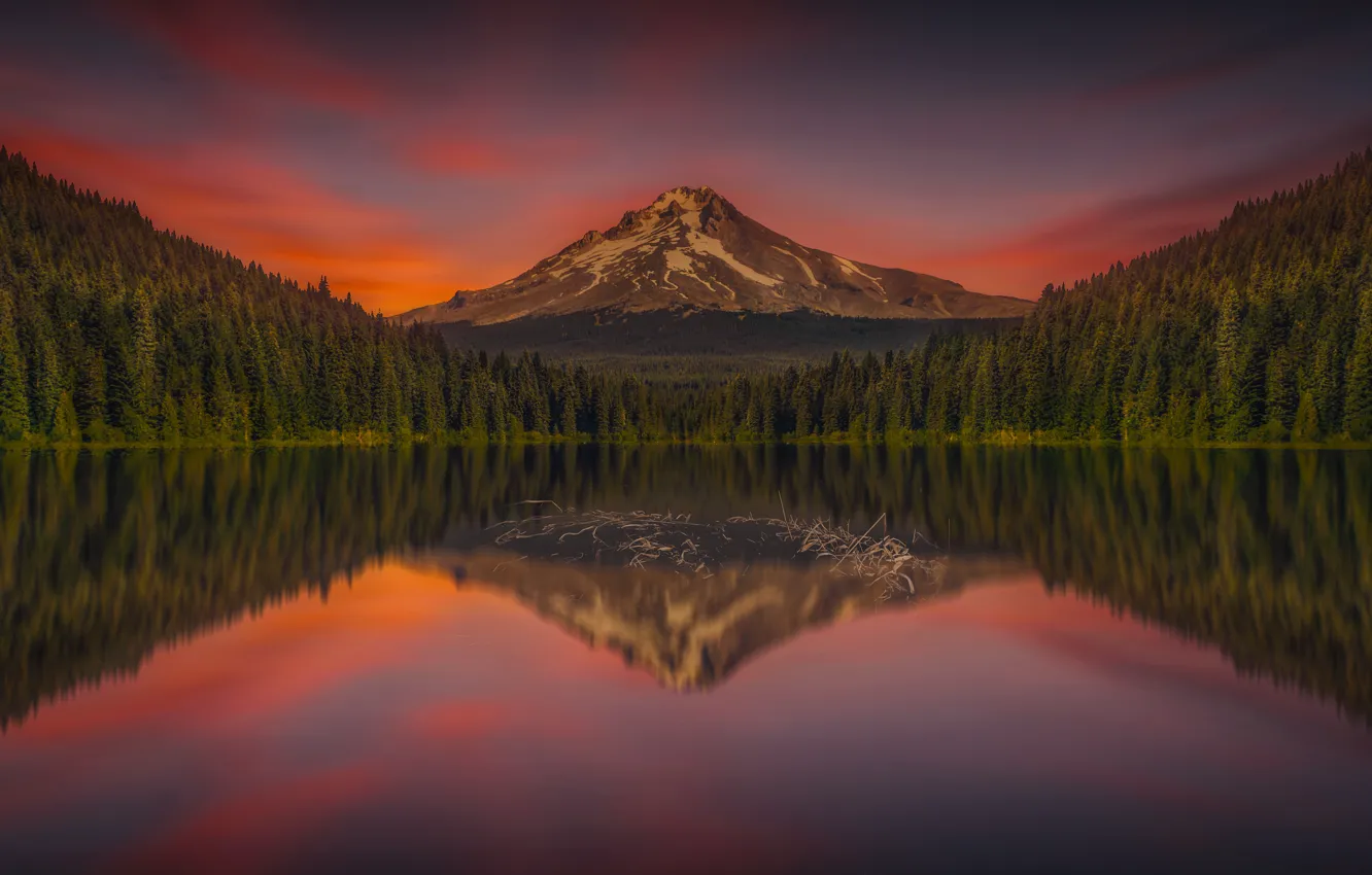 Photo wallpaper forest, the sky, landscape, sunset, mountains, lake, reflection, beauty