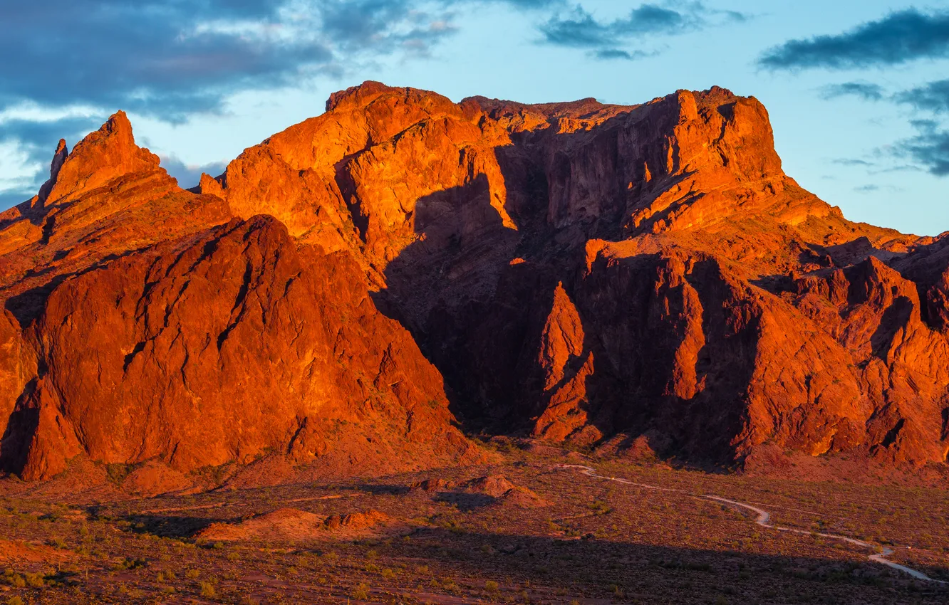 Photo wallpaper AZ, USA, Palm Canyon