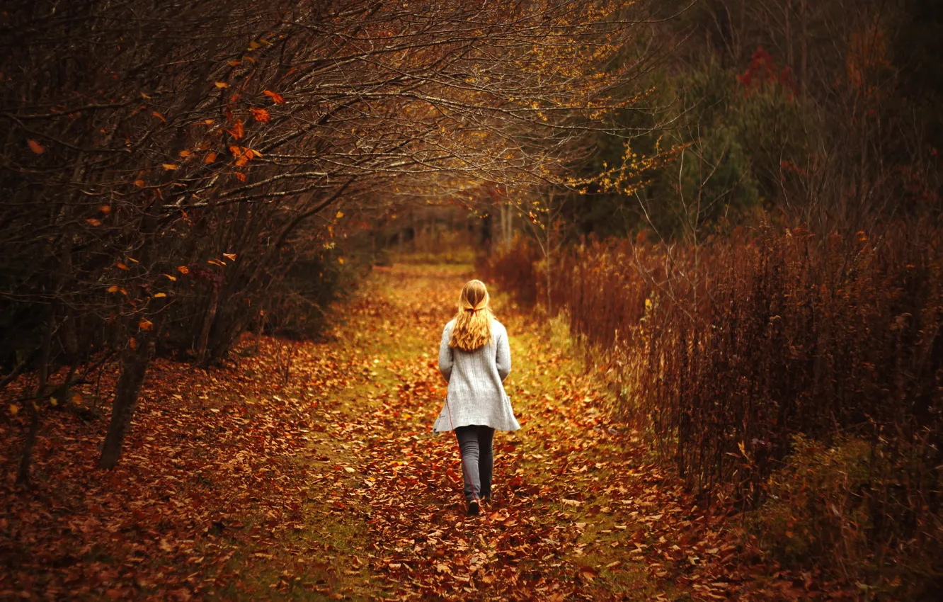 Photo wallpaper leaves, girl, trees, the way, back, girl, trees, leaves